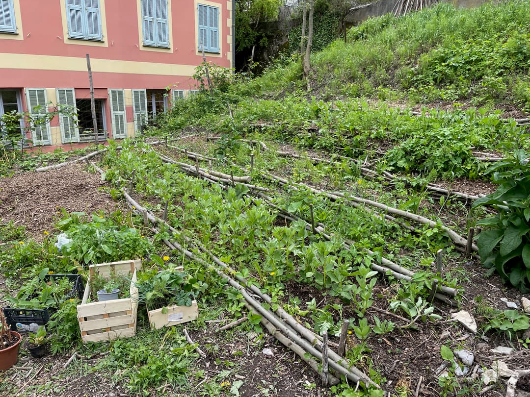 Jardin pédagogique de la médiathèque